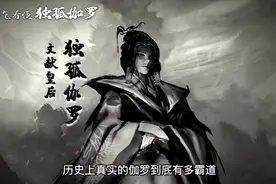 历史上的独孤切罗有多霸气 #独孤伽罗 #杨坚伽罗 #隋朝历史 #历史视频封面