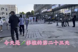 三促2移，移植2枚鲜胚已开奖，好孕传给你们！下次11号开始1超视频封面