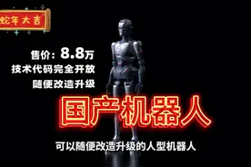 中国大专生，制造出了3.8万人形机器人！#国产机器人视频封面