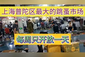 上海普陀区最大的跳蚤市场，每周只开放一天，各种商品琳琅满目视频封面