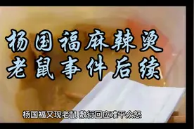 杨国福麻辣烫老鼠事件后续视频封面