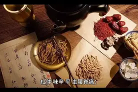 每日一则中草药植物   杜仲的功效与性能