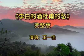 《李白的酒杜甫的愁》完整版视频封面