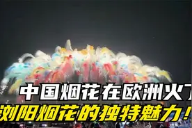 中国烟花在欧洲火了！德国人凌晨排队抢购，浏阳烟花的独特魅力！视频封面