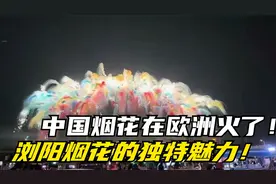 中国烟花在欧洲火了！德国人凌晨排队抢购，浏阳烟花的独特魅力！视频封面