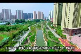 疑似出现入侵物种福寿螺的卵块视频封面