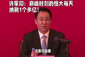 许家印：巅峰时刻恒大每天纳税1个多亿！视频封面