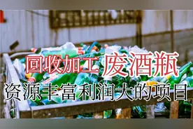 揭秘身边的玻璃酒瓶的回收机会，加工处理，酒瓶换金钱，利润可观视频封面