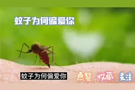 《蚊子偏爱之谜：血型并非关键》视频封面