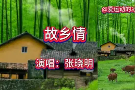 经典老歌男生版的《故乡情》太好听！张晓明唱出了浓浓的思乡情