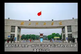 湖北经济学院（公办本科）