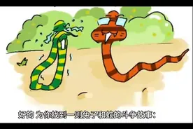 蛇和兔子视频封面