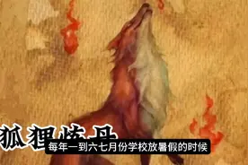 民间故事—狐狸炼丹视频封面