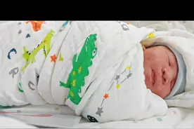 人类幼崽出生瞬间视频封面