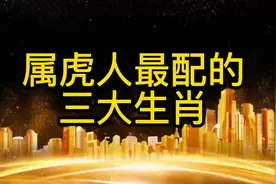 属虎人最配的三大生肖视频封面