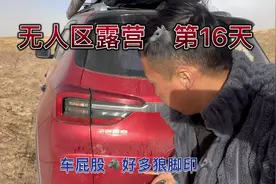 独自一人露营在无人区。睡到凌晨3:00。狼扒车屁股上来了🐺视频封面