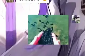 情侣日常聊天套路表情包视频封面