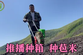 往年家里都是种黄豆，今年换茬改种玉米，大雷和爸爸一起推播种箱视频封面