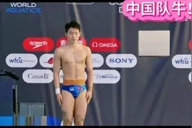 跳水世界杯温莎站中国队混合团体轻松夺冠，恭喜！视频封面
