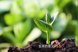 生命的意义
_博尔赫斯(JorgeLuis Borges)的故事视频封面