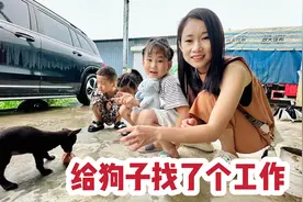 老公把自家的狗租了出去，管吃管住还有工资，一月还能挣300块视频封面