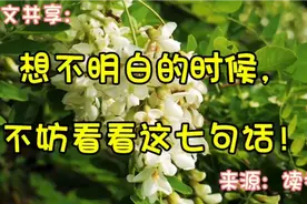 美文共享：想不明白的时候，不妨看看这七句话！视频封面