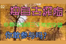 生千年不死，死千年不倒，倒千年不腐。这就是胡杨林三千年的守望视频封面