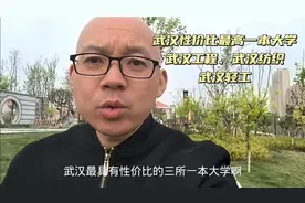 武汉工程大学、武汉纺织大学、武汉轻工大学，有性价比的一本大学