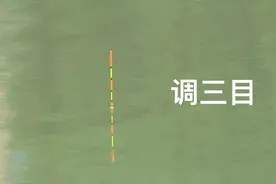 天气降温钓鱼，鱼竿6米3，主线1.0子线0.6，野钓鱼口视频封面