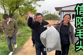 大鹏来到车云山农户家，收下55斤信阳毛尖，这才是真正高品质视频封面