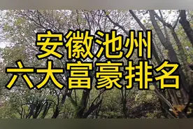 安徽池州六大富豪排名！视频封面