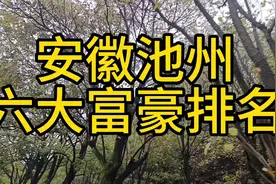 安徽池州六大富豪排名！视频封面