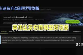 英伟达新模型预览版发布，赶紧体验！视频封面