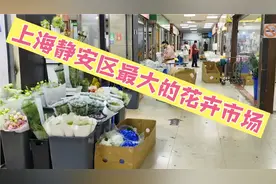 上海静安区最大的花卉市场，近百个摊位，花的海洋世界视频封面
