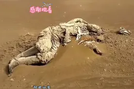 青山处处埋忠骨，何须马革裹尸还! 致敬英雄 #李中华 #视频封面