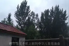 河南慈善会负责人雷克的行为。对社会的影响。视频封面