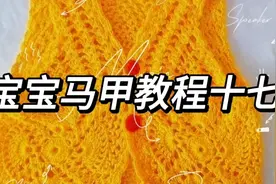 宝宝菠萝花马甲教程十七视频封面