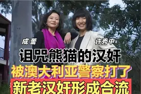 憎恨诅咒大熊猫！dbsbduhs