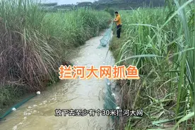 大雨水库泄洪！小伙拿30米拦河大网抓鱼，渔获太棒了视频封面