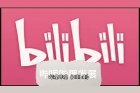 关于b站，你了解吗