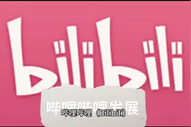 关于b站，你了解吗视频封面