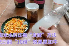 淘米水这样“发酵”才是正确方法，再也没有异味，肥力还翻了10倍视频封面