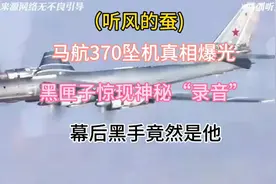 <听风的蚕＞："马航370坠机神秘"录音"曝光，幕后黑手究竟是谁？"视频封面