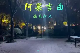 《阿果吉曲》海来阿木视频封面