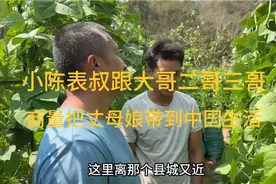 小陈表叔跟老挝大哥二哥三哥商量，把丈母娘带到中国生活视频封面