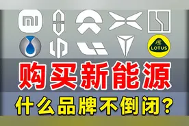 2025新能源车企生死局！旗舰车型红黑榜揭晓视频封面