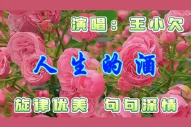 一首甜美歌曲《人生的酒》，旋律优美，句句深情，好听至极。