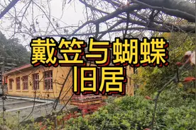 戴笠与蝴蝶旧居视频封面