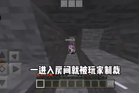 还在因为神权服务器苦恼吗？金梨帮你制裁#我的世界