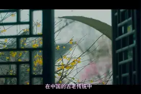 父母当中有一个属蛇的，后代不是升官发财就是事业蒸蒸日上！视频封面